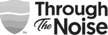 Through the Noise